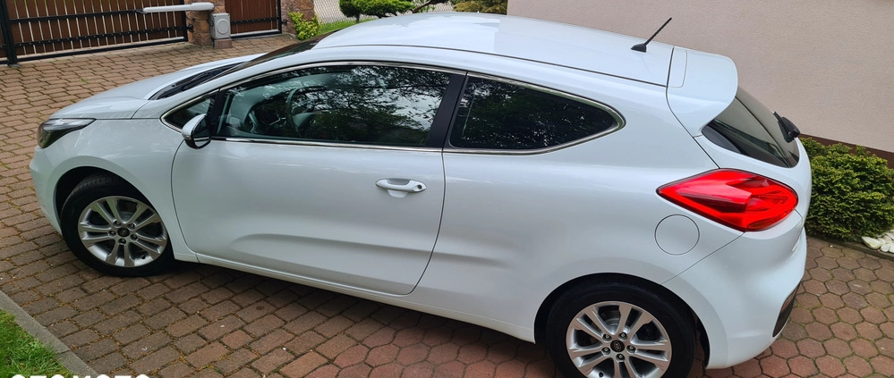 Kia Pro_cee'd cena 33900 przebieg: 190000, rok produkcji 2013 z Kietrz małe 781